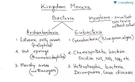 Kingdom Monera Archaebacteria