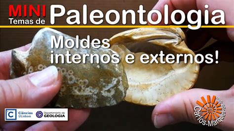 MINI Temas De Paleontologia 01 Moldes Internos E Externos YouTube