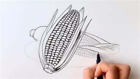 How To Draw And Paint Corn On The Cob Youtube