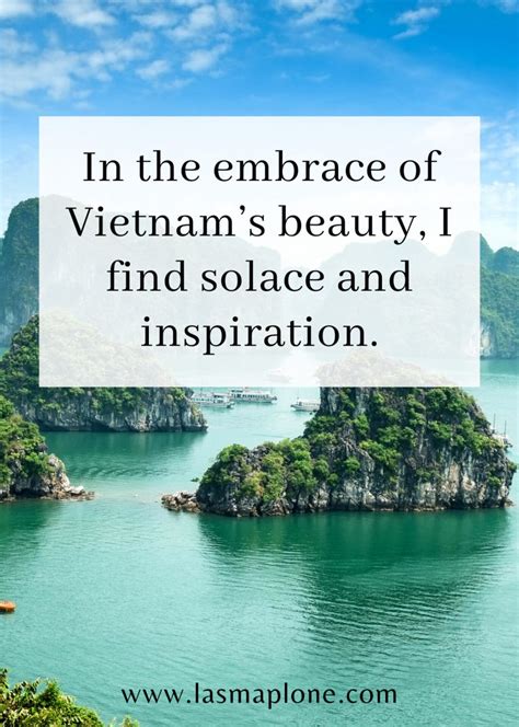 120+ Best Vietnam Quotes and Vietnam Instagram Captions