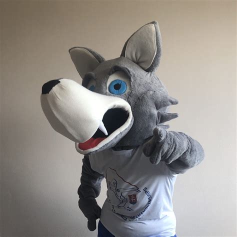 Referencie – maskot.sk