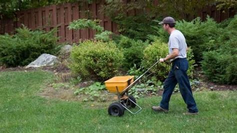 How To Fertilize Your Lawn In Fall NG Turf