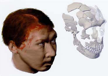 Neanderthal man was "armed and dangerous" | New Scientist