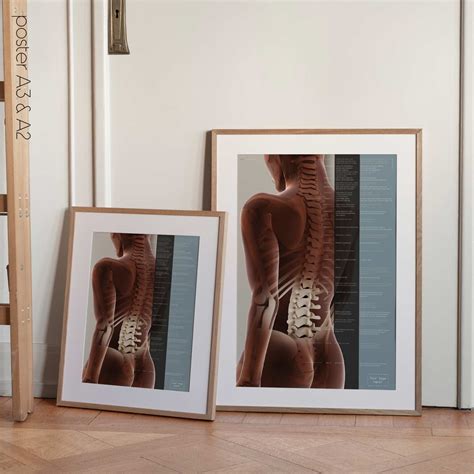 Spinal Subluxation Effects » educare.design
