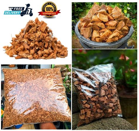 Coconut Husk Chips G Orchids Anthurium Growing Dry Organic Media