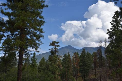 New Flagstaff AZ hiking trails expand options on Schultz Pass Road