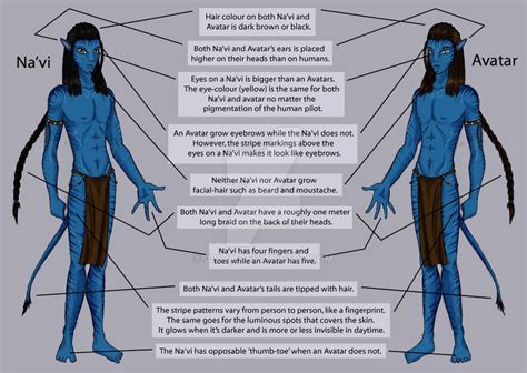 Na'vi - Avatar Guide: Basics by Jivra on DeviantArt