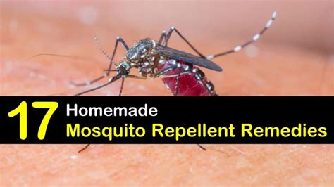 17 Simple DIY Mosquito Repellent Remedies