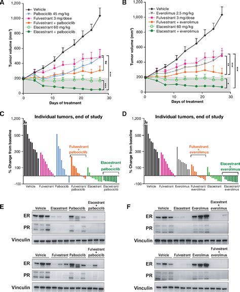 Figure From Elacestrant Rad A Selective Estrogen Receptor