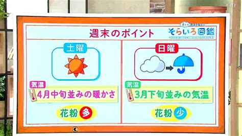 高知の天気 土曜日は晴れて4月中旬並みの陽気に 日曜日は午後に雨のぱらつく所も 東杜和気象予報士が解説 Tbs News Dig