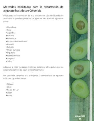 Cartilla De Aguacate Hass Colombia Procolombia Pdf