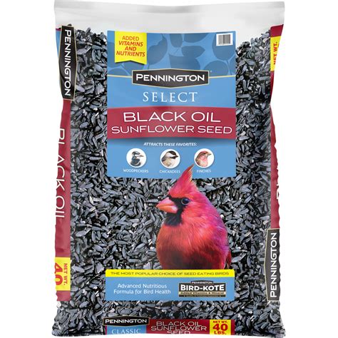 Pennington Select Black Oil Sunflower Seed Bird Food 80 Lb Pack 2x40