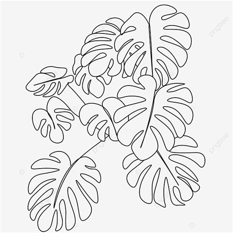 Abstract Line Art Drawing Monstera Leaf Monster Drawing Leaf Drawing