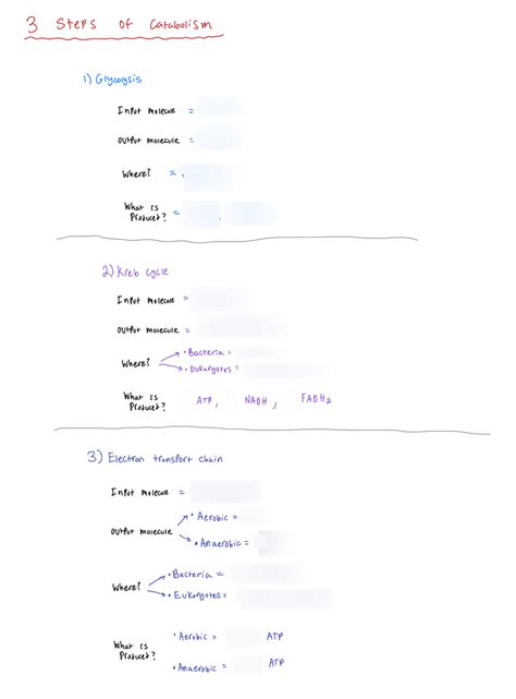 Catabolism diagram Diagram | Quizlet