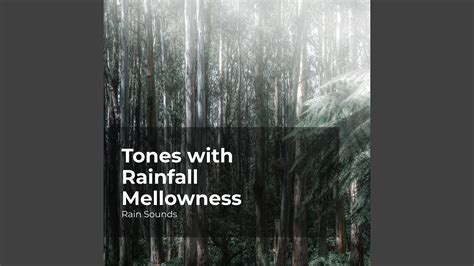 Harmonious Rainfall YouTube