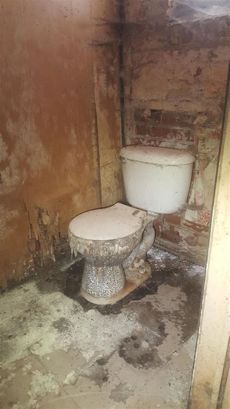 I Need To Start A Coffee Table Book Of Disgusting Basement Toilets In