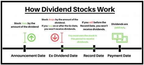 Realty Income O Dividend History Monthly Income With A Long Track Record