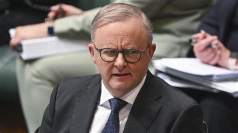 Anthony Albanese Slammed In Focus Groups Of Swinging Voter In