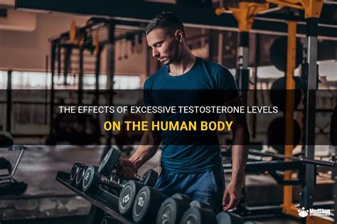 The Effects Of Excessive Testosterone Levels On The Human Body Medshun