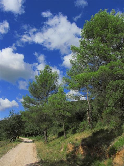 Jakobus Weg Wald B Ume Wolken Bernd Brang Flickr