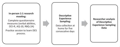 Procedure flowchart. | Download Scientific Diagram