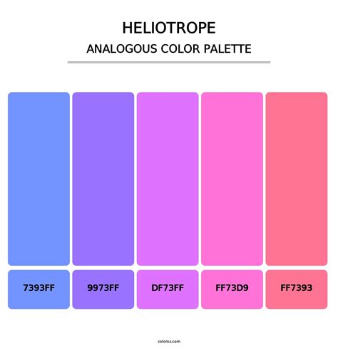 Heliotrope Color Palettes