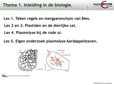 PPT Thema 1 Inleiding In De Biologie PowerPoint Presentation Free