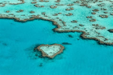 How Was The Great Barrier Reef Formed