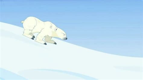 Why Did The Brown Bear Evolve Into The Polar Bear Bbc Teach