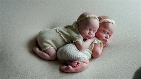 Twin Babies Images – Browse 34,512 Stock Photos, Vectors, and Video | Adobe Stock