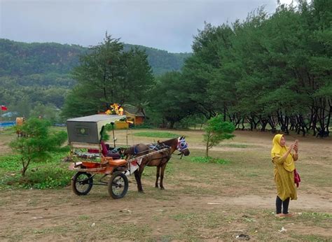 pantai  menyajikan pasir berwarna coklat  halus