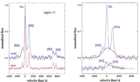 Averaged Sinfoni Spectra Covering The H α Nii And Sii Emission