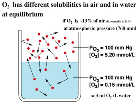 19 Oxygen And Carbon Dioxide Carriage In Blood Flashcards Quizlet