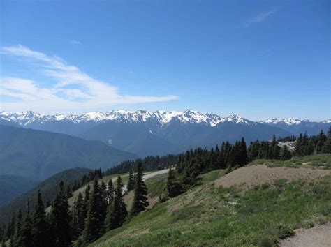 Hurricane Ridge - From the Lodge | Visit Olympic National Park