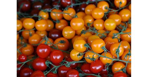 Как Израел изобрети чери домата, който инките вече са познавали