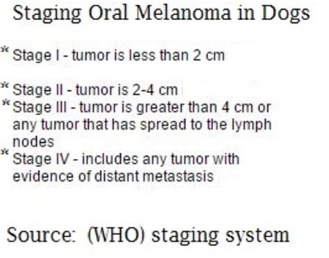 Oral Melanoma Dog Life Expectancy - Dogs Health Problems