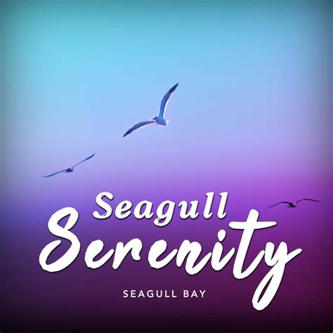 Seagull Serenity Album By Seagull Bay Spotify