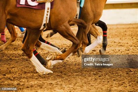 224 Horse Hoof Tracks Stock Photos, High-Res Pictures, and Images ...