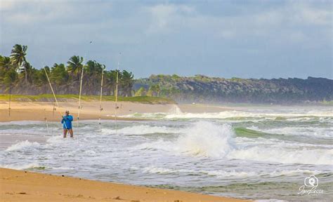 Praia Da Lagoa Do Pau Coruripe Guia 99Praia 2021