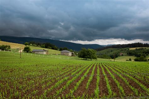 El programa Incorpórate al agro contempla ayudas de hasta 100 000