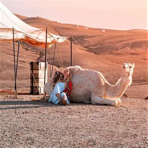 Marrakech D Sert Agafay Dinner Camel Ride Berber Music