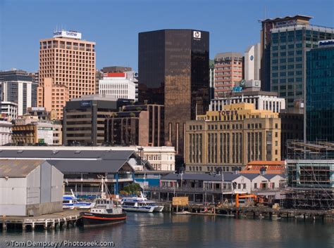 Wellington | Chip Travel