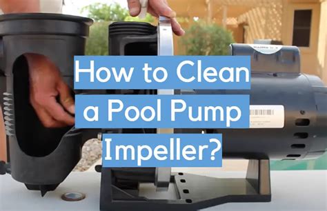 How to Clean a Pool Pump Impeller? - CleanerProfy