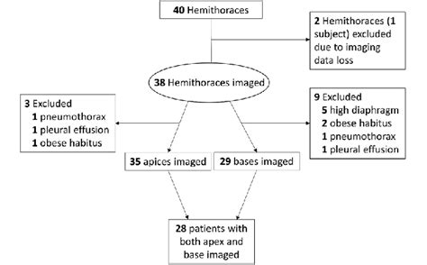 Reasons for excluded measurements at the lung apex vs base | Download ...