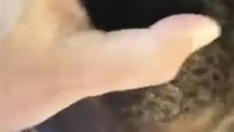 White Master Uses Black Slave In Bathroom Free Gay Porn 83 XHamster