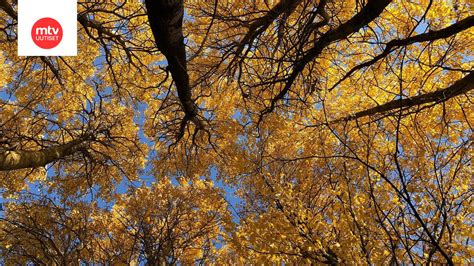 Sateet voivat olla etelässäkin lumisia jo ensi viikolla Pekka Pouta