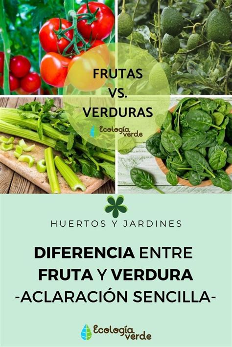 Diferencias Entre Verduras Frutas Y Hortalizas Blog Aepla Hot Sex Picture