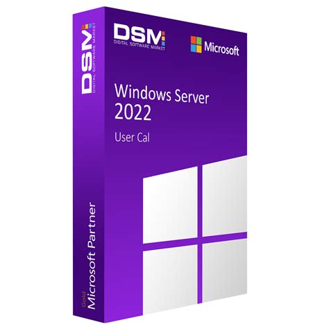 Microsoft Windows Server User Cals At Dsm