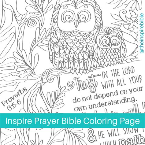 Available Now On The Inspire Bible Facebook Page Proverbs 3 5 6 Bible