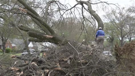 Memphis dealing with aftermath from Friday's storms | localmemphis.com